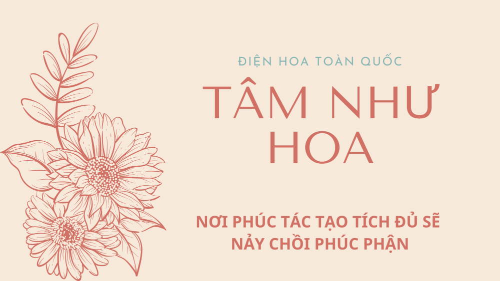 I. Về chúng tôi